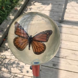 Meet your Posher, Liz